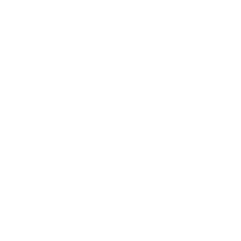 Trail Sister logo